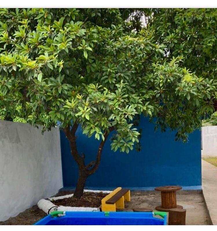 Chale Da Vovo Villa Soure Exterior photo